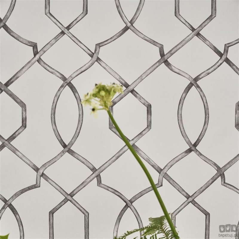 Geometrics volume I PDG1027/01 tapeta ścienna Designers Guild