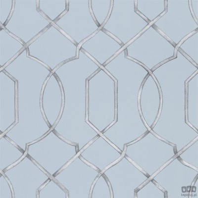 Geometrics volume I PDG1027/02 tapeta ścienna Designers Guild