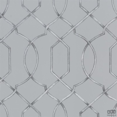 Geometrics volume I PDG1027/04 tapeta ścienna Designers Guild