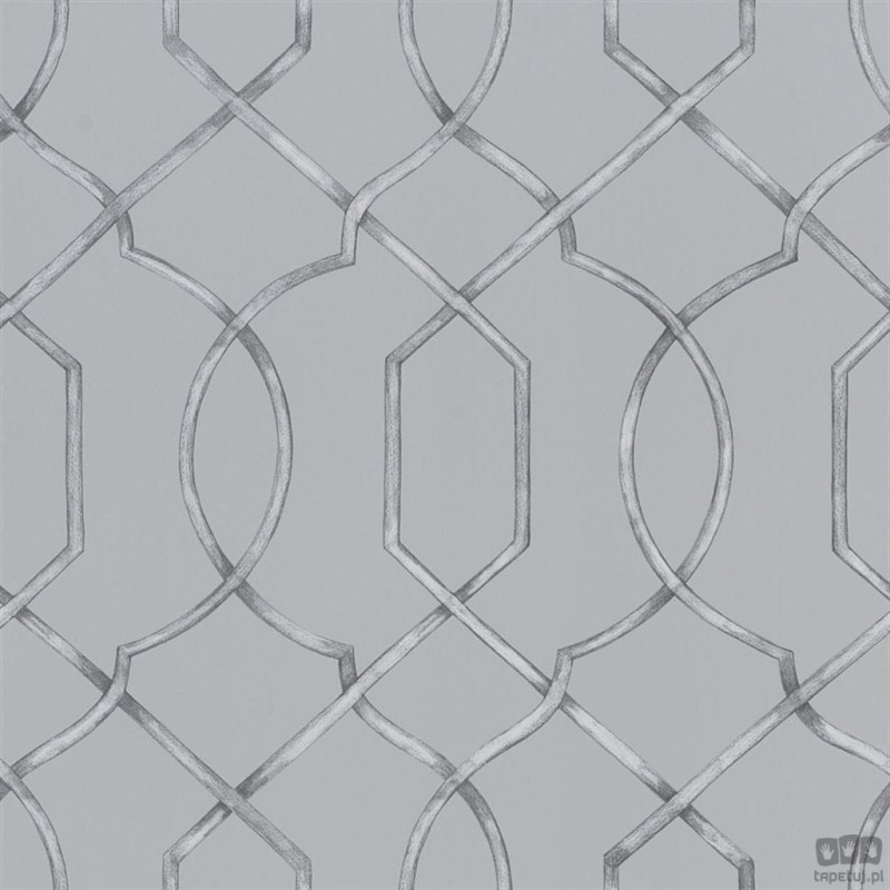 Geometrics volume I PDG1027/04 tapeta ścienna Designers Guild