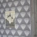 Geometrics volume I PDG1032/01 tapeta ścienna Designers Guild