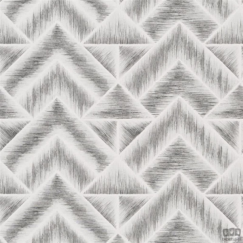 Geometrics volume I PDG1049/01 tapeta ścienna Designers Guild