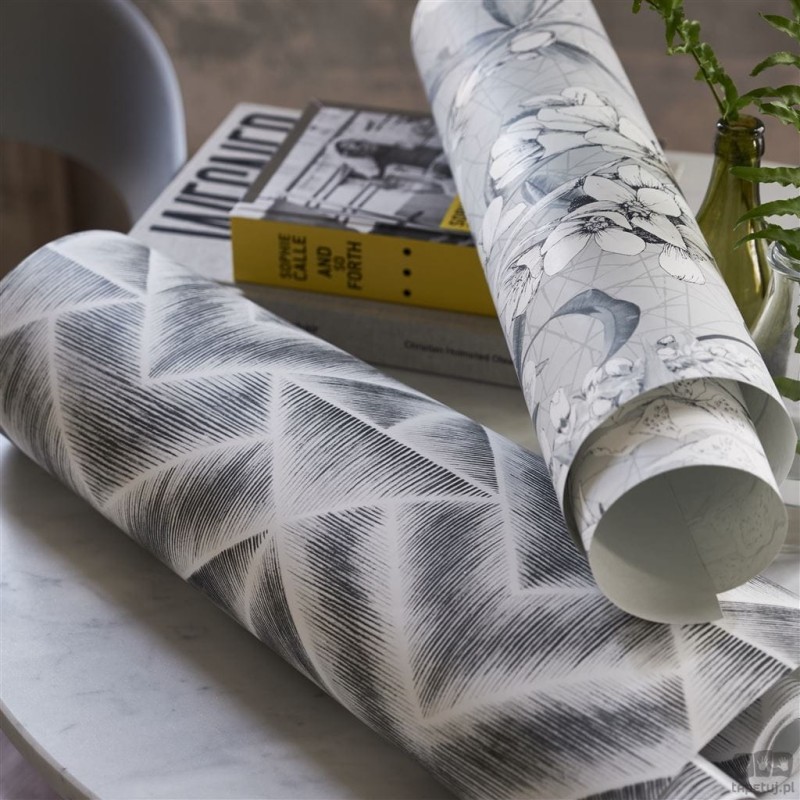 Geometrics volume I PDG1049/01 tapeta ścienna Designers Guild