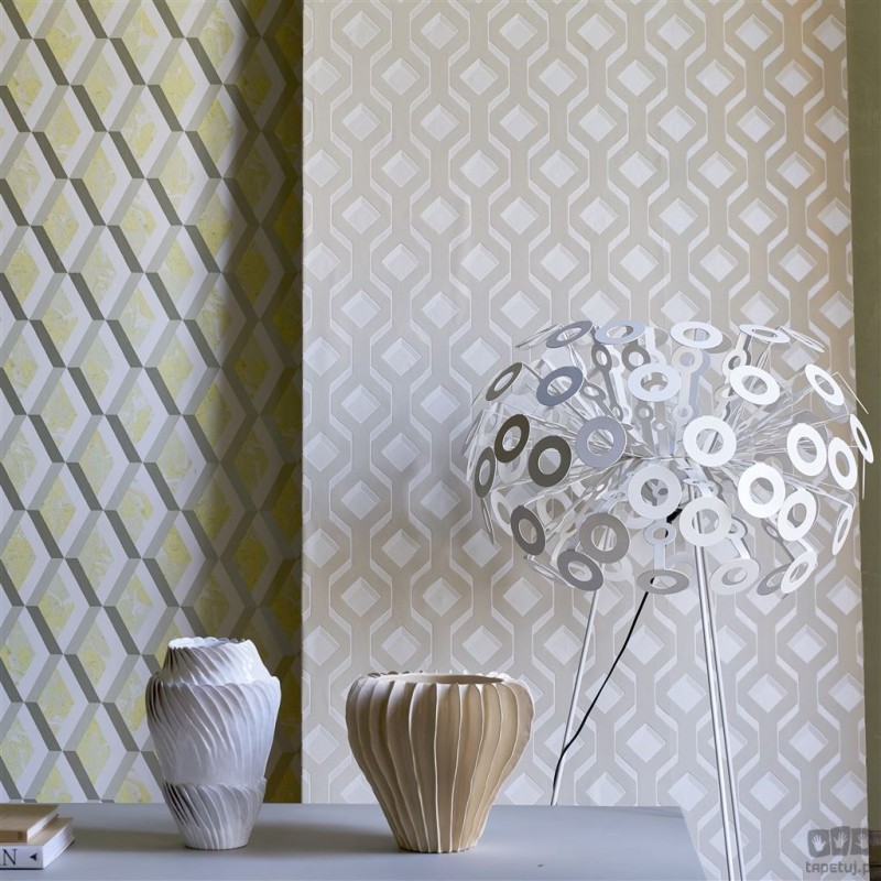 Geometrics volume I PDG1053/01 tapeta ścienna Designers Guild