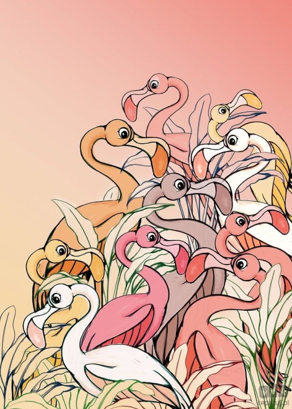 Fototapeta Flamingos and Lillys DX4-012