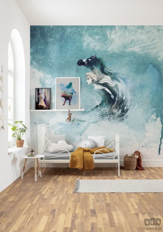 Fototapeta Frozen Spirit Of Wonder DX5-016