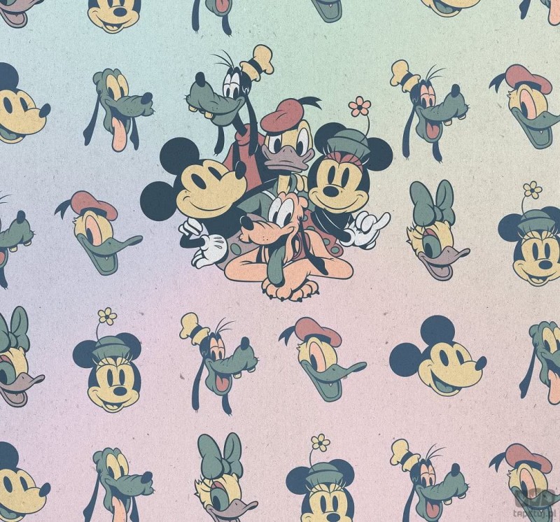 Fototapeta Mickey Fab5 DX6-023