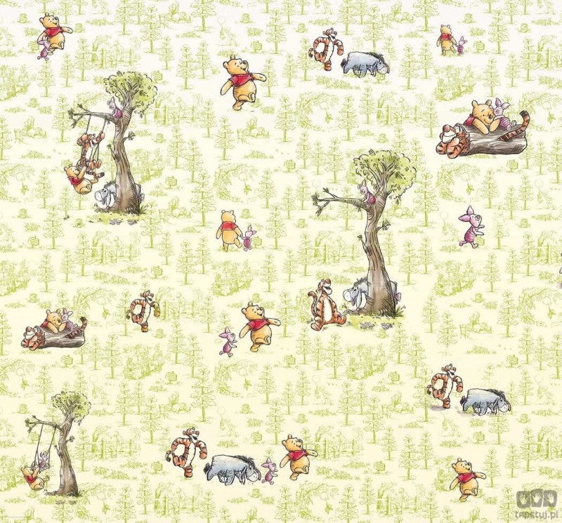 Fototapeta Winnie Pooh Friends DX6-031