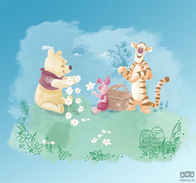 Fototapeta Winnie Pooh Picnic DX6-033