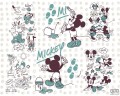Fototapeta Mickey and Friends DX7-026