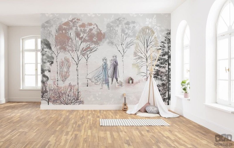 Fototapeta Frozen Natural Spirit DX8-015
