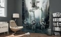 Fototapeta Star Wars Imperial Forces 001-DVD2