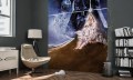 Fototapeta Star Wars Poster Classic 2 008-DVD2