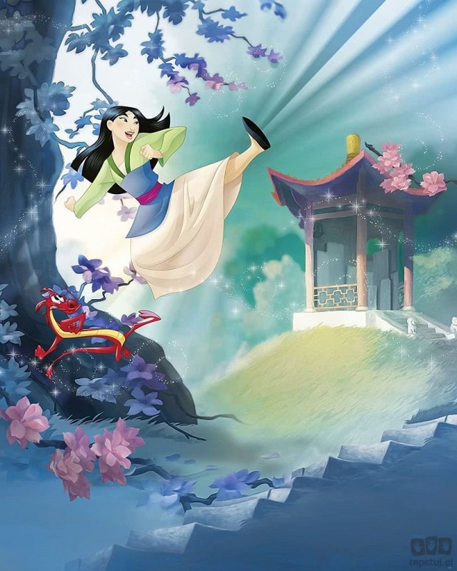 Fototapeta Mulan 020-DVD2