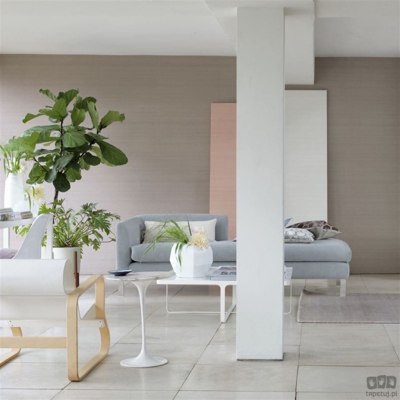 Chinon PDG1119/10 tapeta ścienna Designers Guild