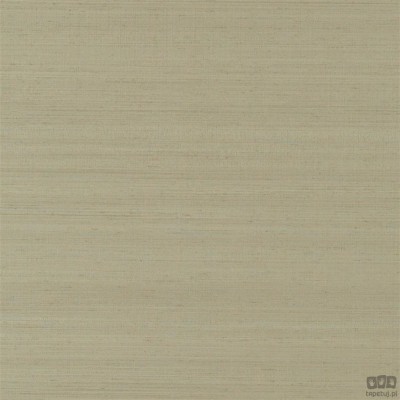 Chinon PDG1119/12 tapeta ścienna Designers Guild