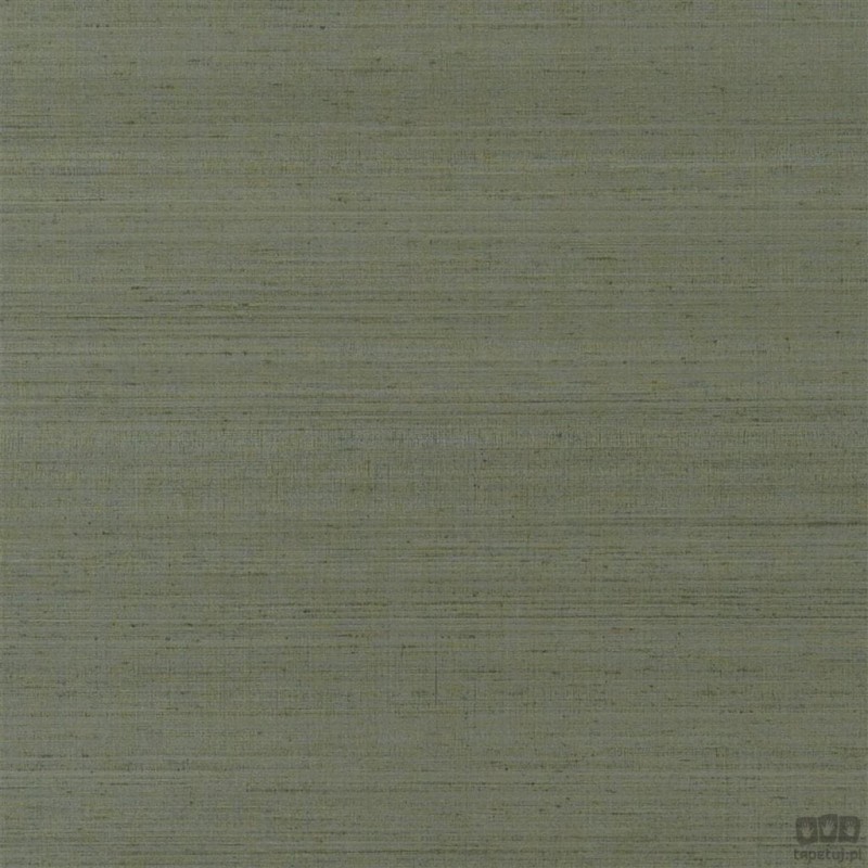 Chinon PDG1119/13 tapeta ścienna Designers Guild