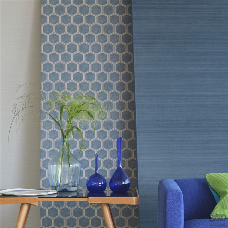 Chinon PDG1119/15 tapeta ścienna Designers Guild