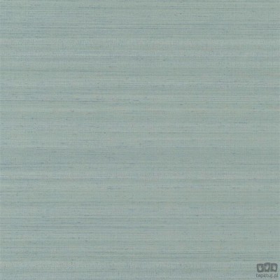 Chinon PDG1119/17 tapeta ścienna Designers Guild