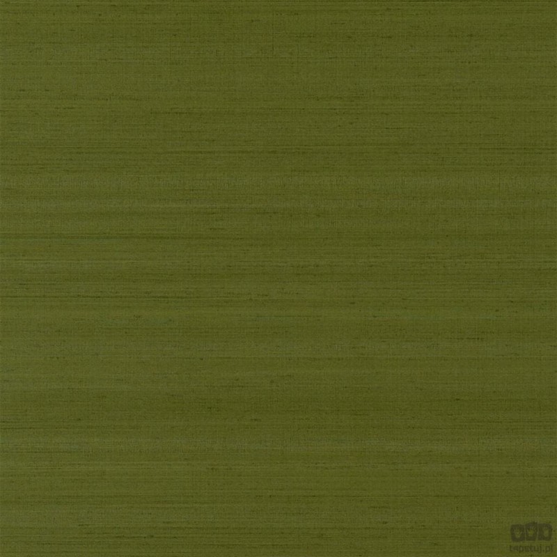 Chinon PDG1119/20 tapeta ścienna Designers Guild