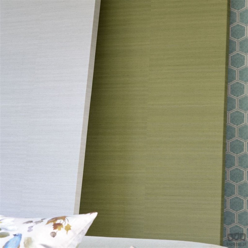 Chinon PDG1119/20 tapeta ścienna Designers Guild