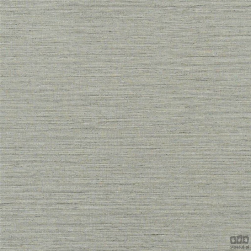Chinon PDG1120/02 tapeta ścienna Designers Guild