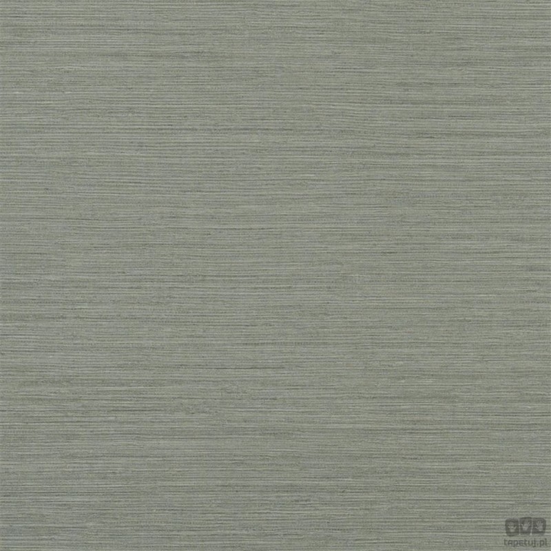Chinon PDG1120/03 tapeta ścienna Designers Guild