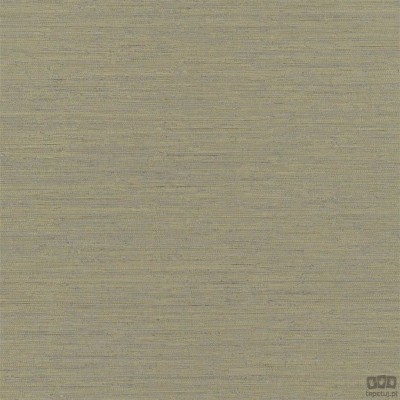 Chinon PDG1120/04 tapeta ścienna Designers Guild