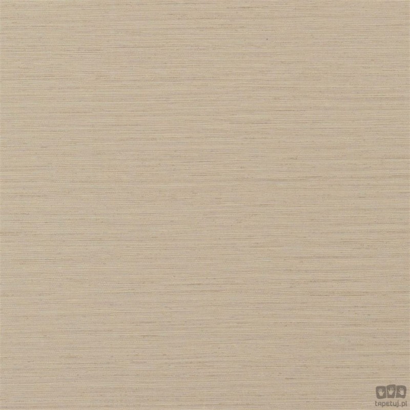 Chinon PDG1120/10 tapeta ścienna Designers Guild