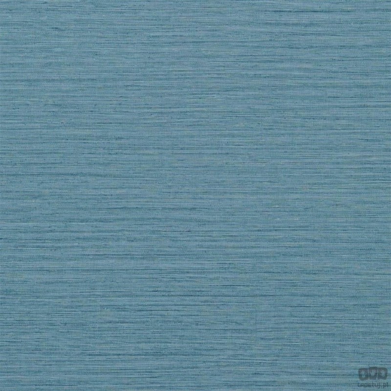 Chinon PDG1120/12 tapeta ścienna Designers Guild