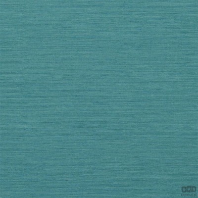 Chinon PDG1120/14 tapeta ścienna Designers Guild