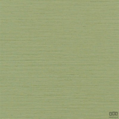 Chinon PDG1120/15 tapeta ścienna Designers Guild
