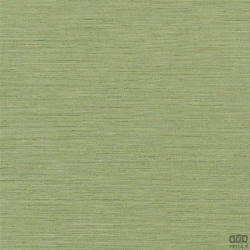 Chinon PDG1120/15 tapeta ścienna Designers Guild