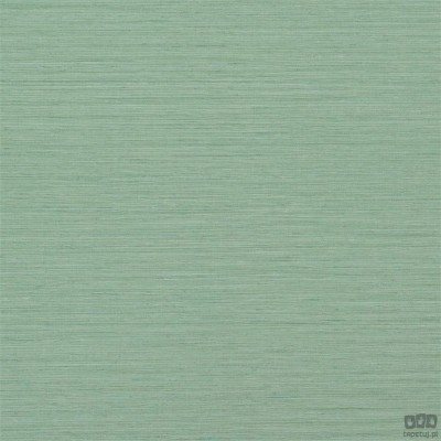 Chinon PDG1120/16 tapeta ścienna Designers Guild