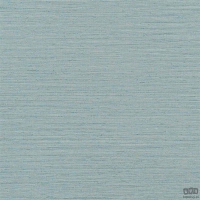 Chinon PDG1120/17 tapeta ścienna Designers Guild