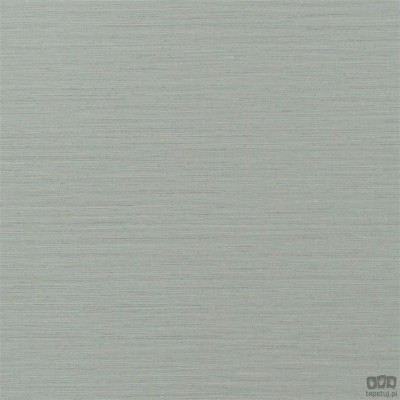 Chinon PDG1120/19 tapeta ścienna Designers Guild