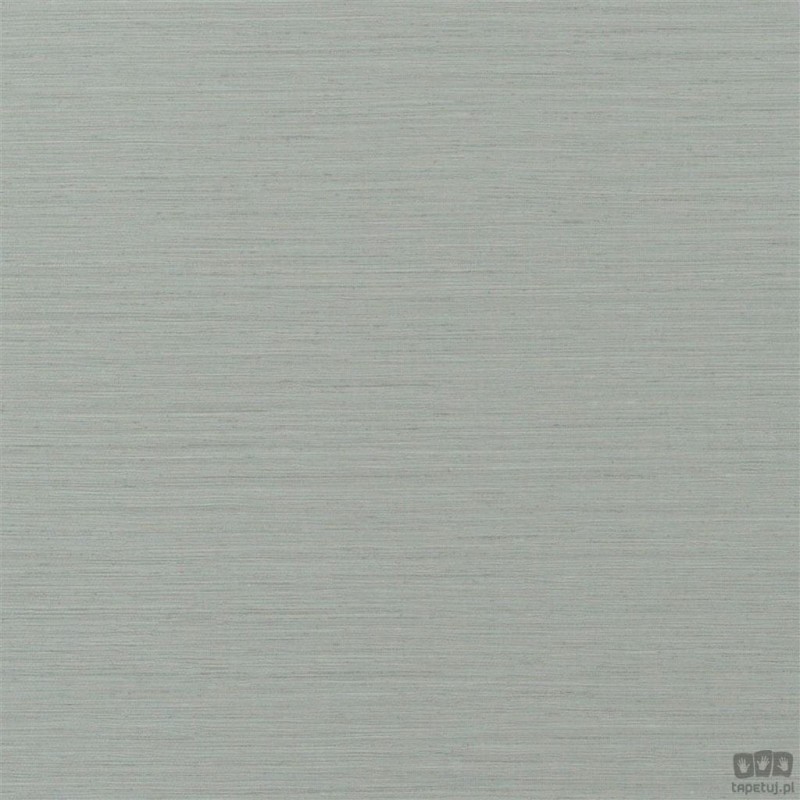 Chinon PDG1120/19 tapeta ścienna Designers Guild