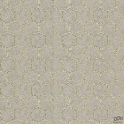 Chinon PDG1121/01 tapeta ścienna Designers Guild