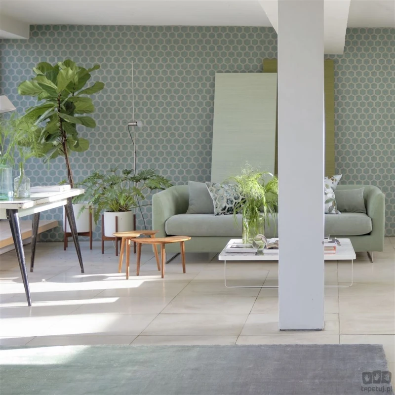 Chinon PDG1121/05 tapeta ścienna Designers Guild