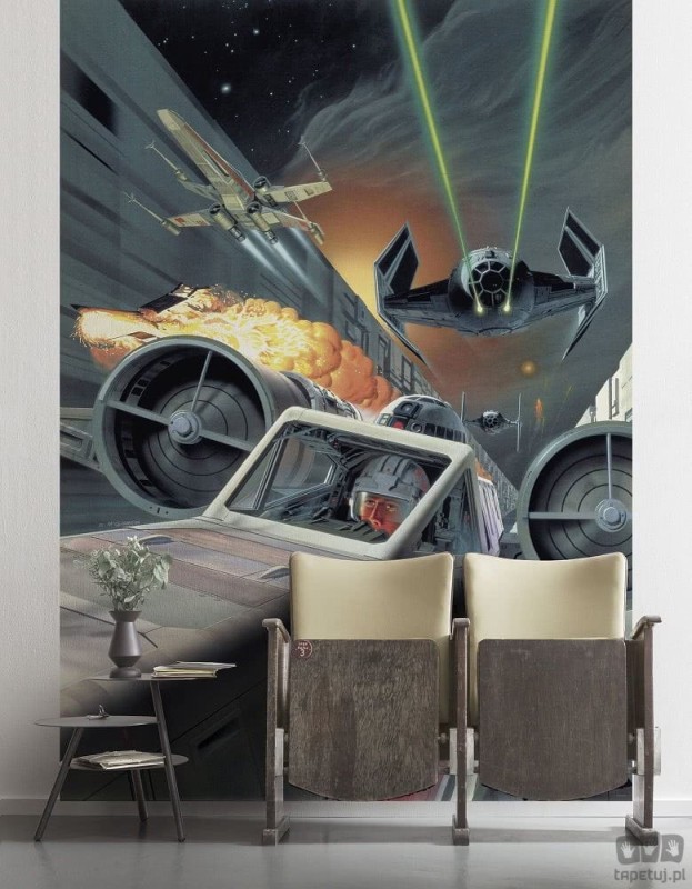 Fototapeta Star Wars Classic Death Star Trench Run DX4-042