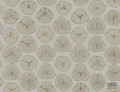 L'ATELIER de PARIS AH41300 tapeta ścienna Wallquest