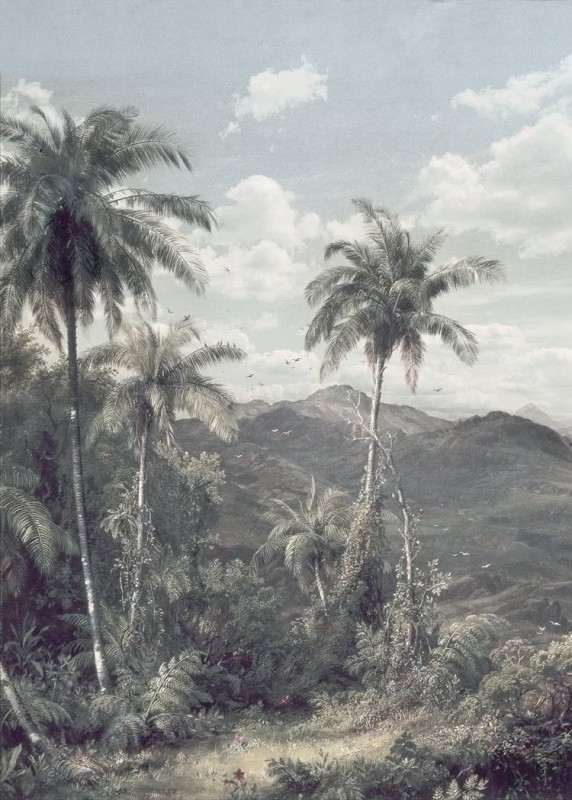 Fototapeta The Exotic Land R2-006