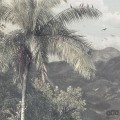 Fototapeta The Exotic Land R2-006