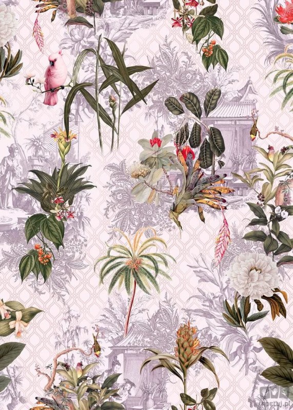 Fototapeta Tropicana R2-007