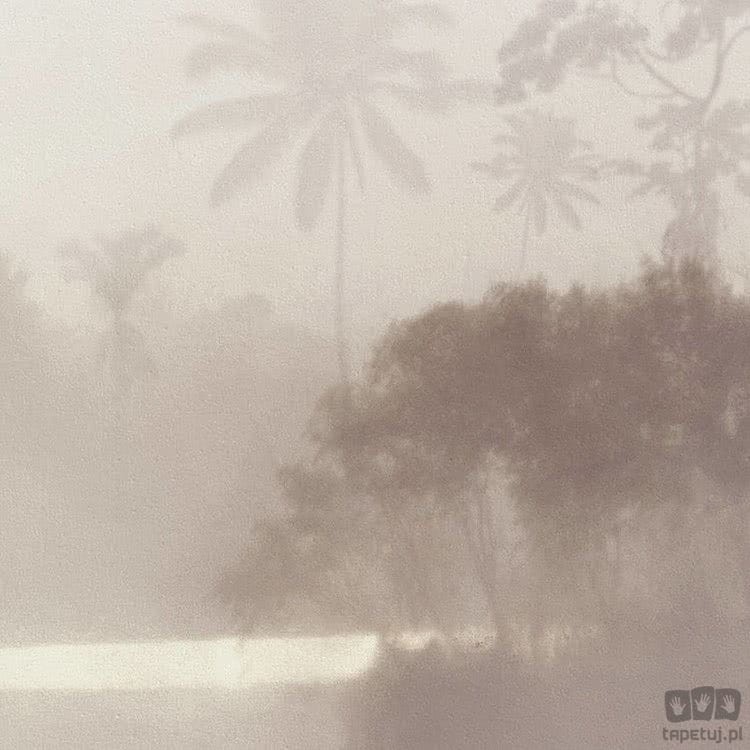 Fototapeta Lac Tropical Pure R2-009