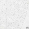 Fototapeta Decent Leaf R2-012