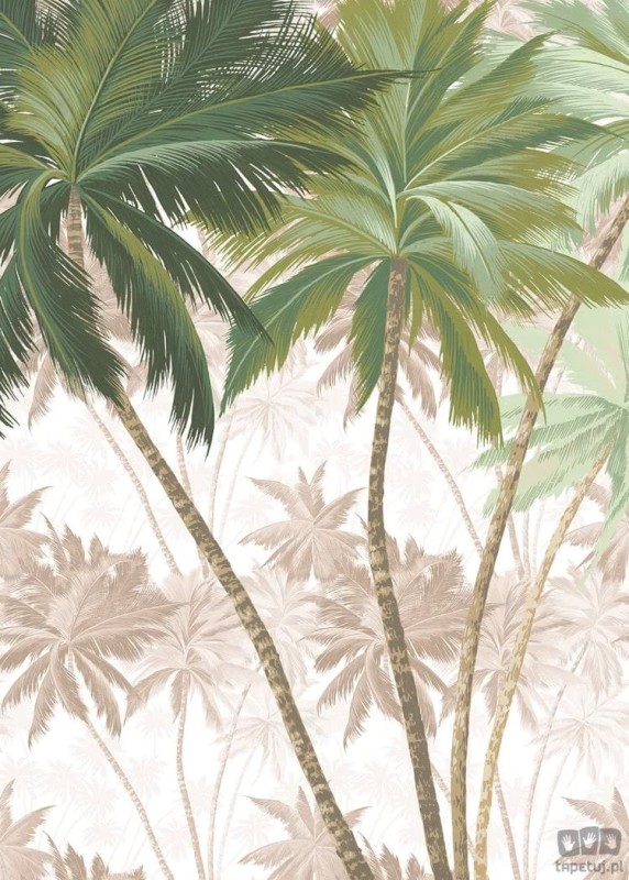 Fototapeta Palmera R2-013
