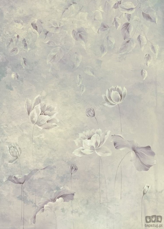 Fototapeta Water Lily R2-016