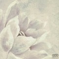 Fototapeta Water Lily R2-016