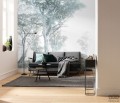 Fototapeta Magic Trees R3-023